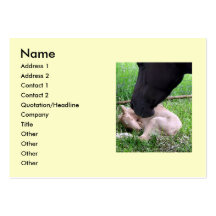 New foal Palomino and Black Mare Business Card