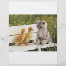 New Friends Flyers