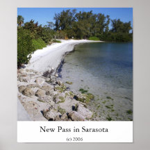 New Pass in Sarasota Poster