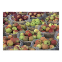 New York State Macintosh apples in baskets Photograph