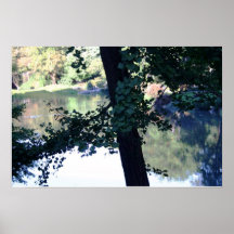 New York's Central Park Posters