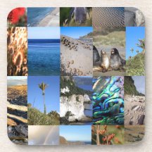 New Zealand coastal scenic Kiwiana Beverage Coasters