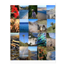 New Zealand coastal scenic Kiwiana Postcards