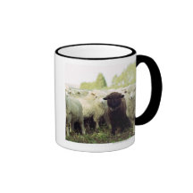 New Zealand Mug