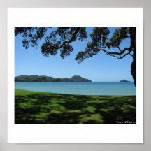 New Zealand - Northland Beach Posters