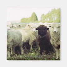 New Zealand Refrigerator Magnet