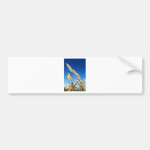 New Zealand toi toi plant Bumper Stickers