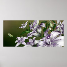 Newborn Flowers Poster