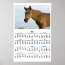 Newborn Horse Poster Calendar