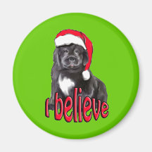 Newf puppy Christmas Magnet
