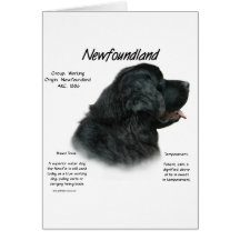 Newfoundland (Black) History Design Greeting Cards