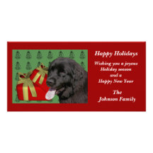 Newfoundland Dog Animal Christmas Holiday Card Photo Card