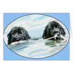 Newfoundland Dogs Swimming Greeting Card