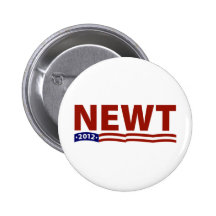 Newt 2012 pin
