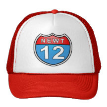Newt Road to the White House 2012 Hat