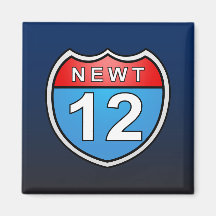 Newt Road to the White House 2012 Magnets