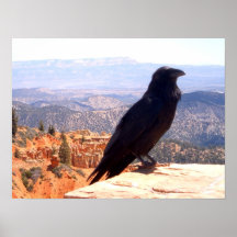 NG Crow Print