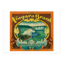 Niagra Orange Label Post Cards