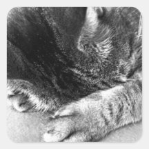 niedlich Katze schläft auf dem Bett süß Aufkleber