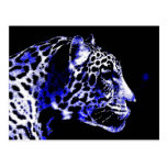 Night Jaguar Post Card