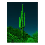 Night Vision Cactus Postcards