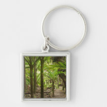 Nikau Palms, Heaphy Track, near Karamea, Key Chains