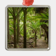 Nikau Palms, Heaphy Track, near Karamea, Christmas Tree Ornament