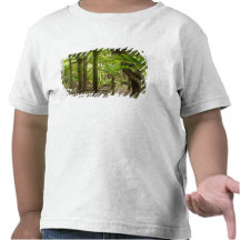 Nikau Palms, Heaphy Track, near Karamea, Tshirt