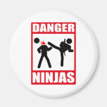 Ninja Academy Okinawa Kill Bill Magnets