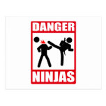 Ninja Academy Okinawa Kill Bill Post Card
