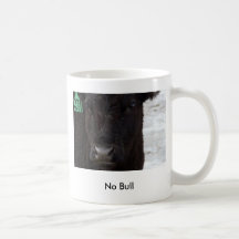 'No Bull' Mug