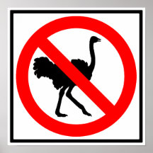 No Ostriches Highway Sign Poster