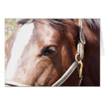 Noble Eye Greeting Card