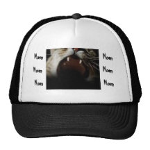 Nom Nom Nom Kitty Trucker Hat