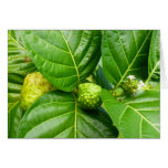 Noni Fruit Card
