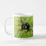 Normal Transylvania Spider Mugs