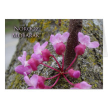 Norooz, Redbud Tree in Bloom, Spring Photograph Greeting Card