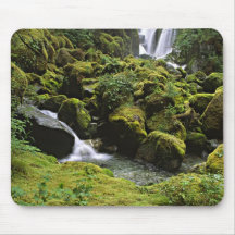 North America, USA, Alaska. A waterfall and Mousemat