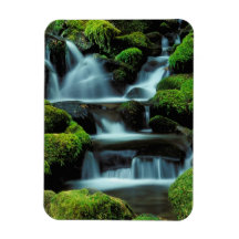 North America; USA; Washington, Sol Duc Cascade Rectangular Magnet