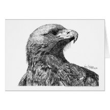 North American Eagle Pen and Ink Card
