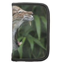 North American Lynx Wallet Folio Planners