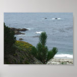 Northern California Pacific Ocean Coast Posters