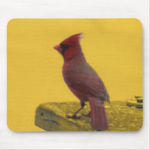 Northern Cardinal Mousepad