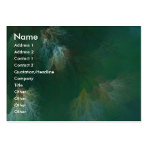 NORTHERN FOREST CANOPY BUSINESS CARD