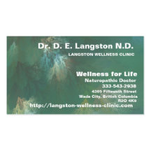 NORTHERN FOREST CANOPY BUSINESS CARD
