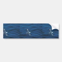 Northern Fulmar in flight Bumper Stickers