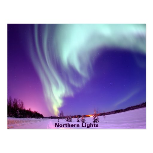 Northern Lights Shine in Alaskan Sky Postcard