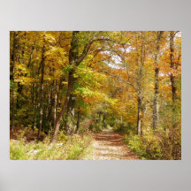 Northern ME Trail Print