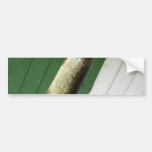Northern Pike Bumper Stickers