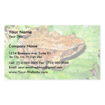 Northern Red legged frog Business Card Template